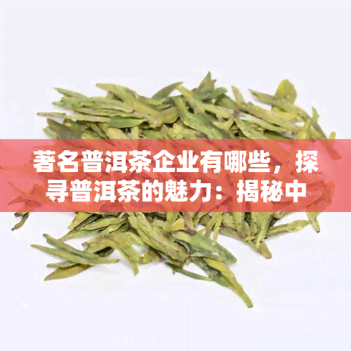 著名普洱茶企业有哪些，探寻普洱茶的魅力：揭秘中国著名普洱茶企业