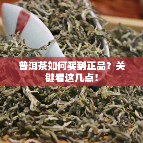 普洱茶如何买到正品？关键看这几点！