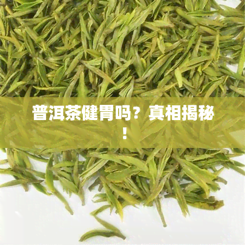 普洱茶健胃吗？真相揭秘！