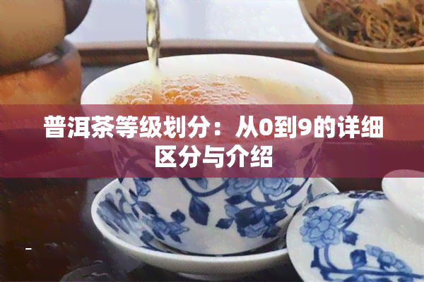 普洱茶等级划分：从0到9的详细区分与介绍