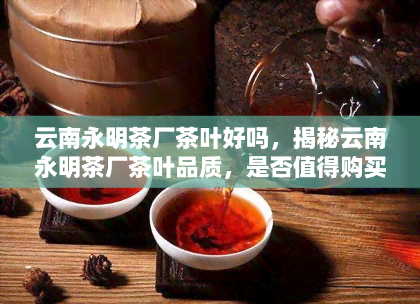 云南永明茶厂茶叶好吗，揭秘云南永明茶厂茶叶品质，是否值得购买？