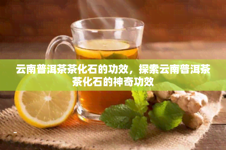 云南普洱茶茶化石的功效，探索云南普洱茶茶化石的神奇功效