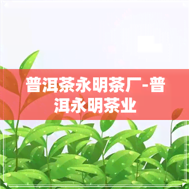 普洱茶永明茶厂-普洱永明茶业