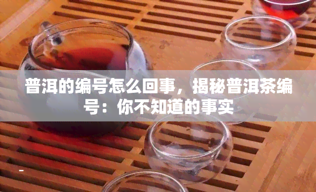 普洱的编号怎么回事，揭秘普洱茶编号：你不知道的事实