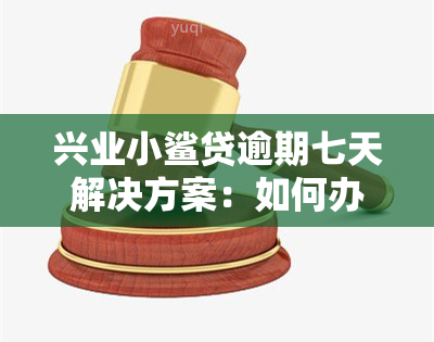 兴业小鲨贷逾期七天解决方案：如何办理及应对措？