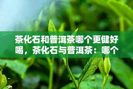 茶化石和普洱茶哪个更健好喝，茶化石与普洱茶：哪个更健、更好喝？