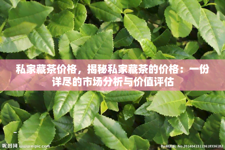 私家藏茶价格，揭秘私家藏茶的价格：一份详尽的市场分析与价值评估