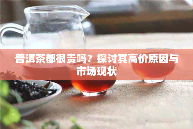 普洱茶都很贵吗？探讨其高价原因与市场现状