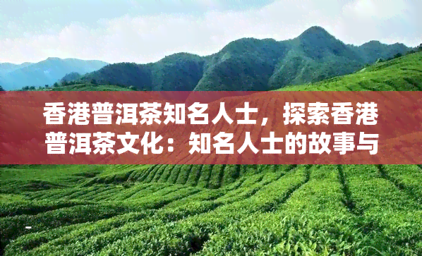 普洱茶知名人士，探索普洱茶文化：知名人士的故事与心得