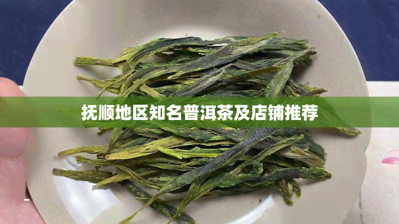 抚顺地区知名普洱茶及店铺推荐