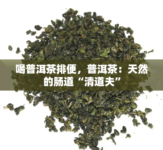 喝普洱茶排便，普洱茶：天然的肠道“清道夫”