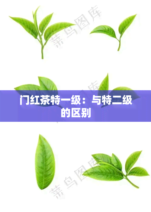 门红茶特一级：与特二级的区别