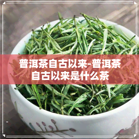 普洱茶自古以来-普洱茶自古以来是什么茶