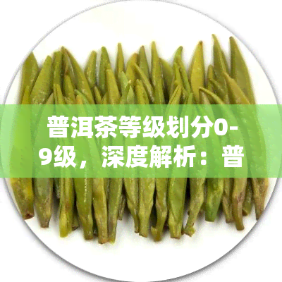 普洱茶等级划分0-9级，深度解析：普洱茶的等级划分，从0到9级全面解读