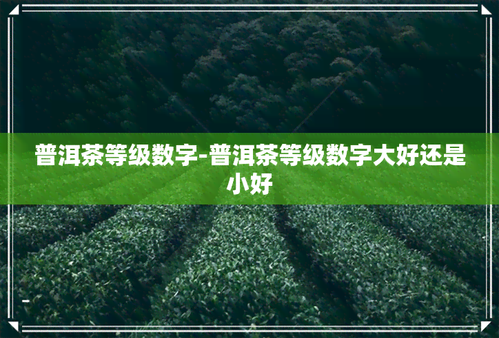 普洱茶等级数字-普洱茶等级数字大好还是小好