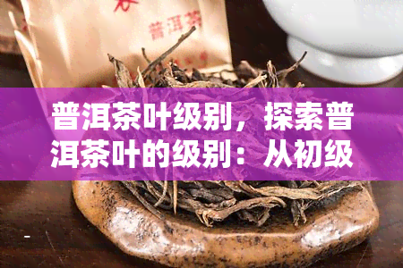 普洱茶叶级别，探索普洱茶叶的级别：从初级到高级，你了解多少？