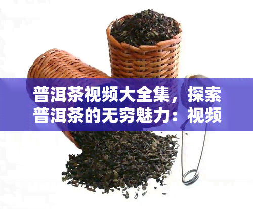 普洱茶视频大全集，探索普洱茶的无穷魅力：视频大全集让你一网打尽！