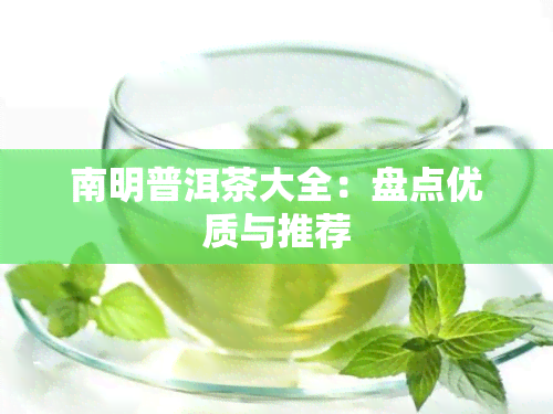 南明普洱茶大全：盘点优质与推荐