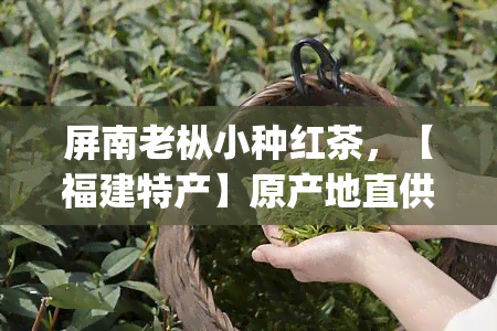 屏南老枞小种红茶，【福建特产】原产地直供 正宗老枞味 小种红茶 特级浓香型 整箱装400g 屏南老枞小种红茶