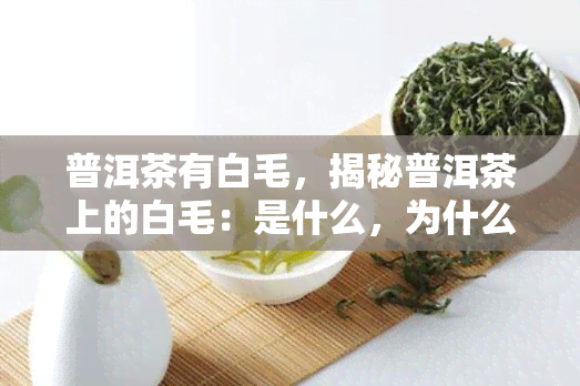 普洱茶有白毛，揭秘普洱茶上的白毛：是什么，为什么会出现，对人体有何影响？