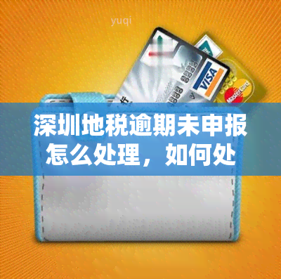 深圳地税逾期未申报怎么处理，如何处理深圳地税逾期未申报问题？