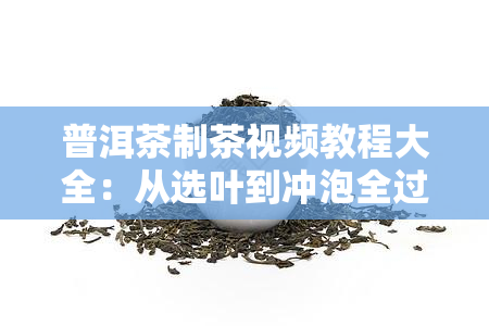 普洱茶制茶视频教程大全：从选叶到冲泡全过程详解