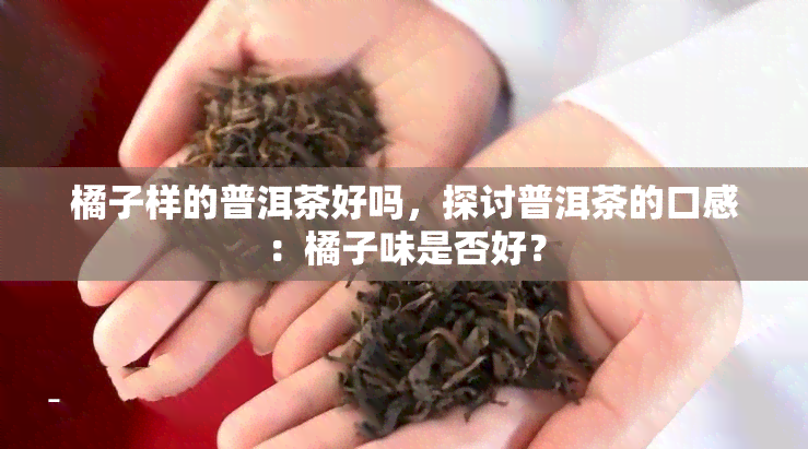 橘子样的普洱茶好吗，探讨普洱茶的口感：橘子味是否好？