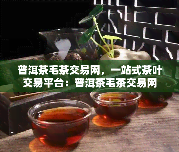 普洱茶毛茶交易网，一站式茶叶交易平台：普洱茶毛茶交易网