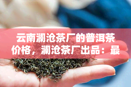 云南澜沧茶厂的普洱茶价格，澜沧茶厂出品：最新普洱茶价格一览