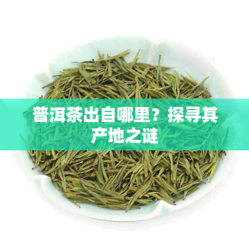 普洱茶出自哪里？探寻其产地之谜