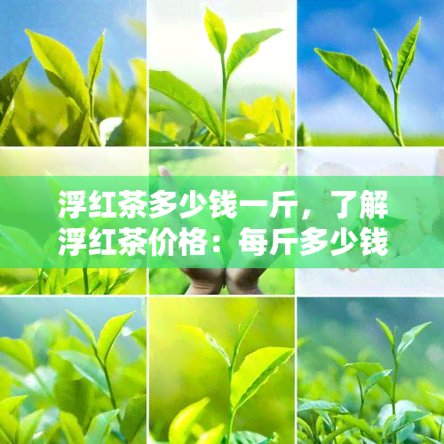 浮红茶多少钱一斤，了解浮红茶价格：每斤多少钱？