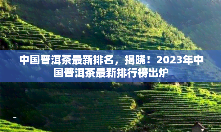 中国普洱茶最新排名，揭晓！2023年中国普洱茶最新排行榜出炉