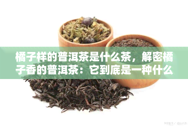 橘子样的普洱茶是什么茶，解密橘子香的普洱茶：它到底是一种什么样的茶？