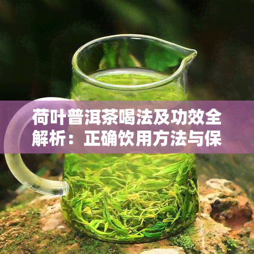 荷叶普洱茶喝法及功效全解析：正确饮用方法与保健作用，但需注意禁忌