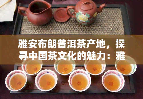 雅安布朗普洱茶产地，探寻中国茶文化的魅力：雅安布朗普洱茶的产地介绍