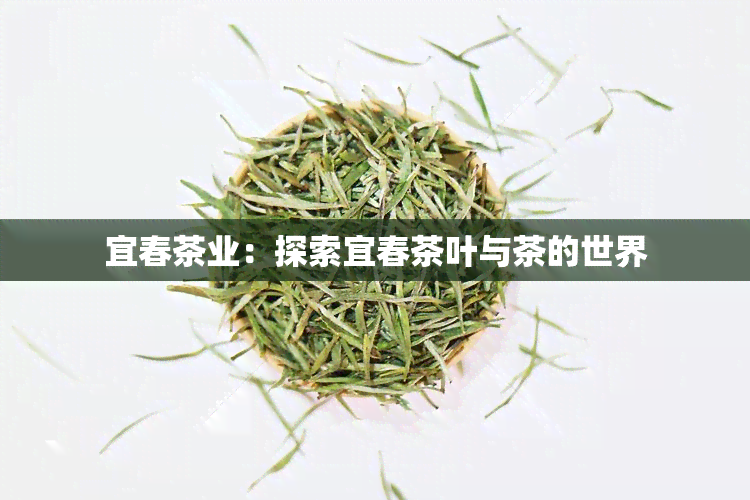 宜春茶业：探索宜春茶叶与茶的世界