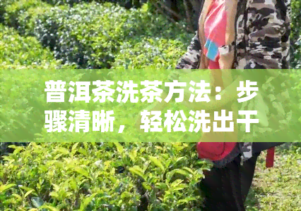 普洱茶洗茶方法：步骤清晰，轻松洗出干净茶香