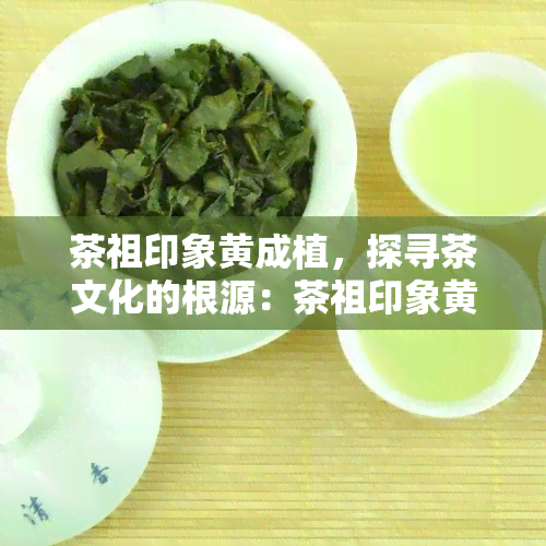 茶祖印象黄成植，探寻茶文化的根源：茶祖印象黄成植的故事