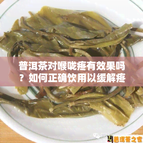 普洱茶对喉咙疼有效果吗？如何正确饮用以缓解疼痛？