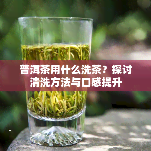 普洱茶用什么洗茶？探讨清洗方法与口感提升