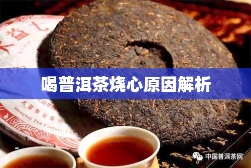 喝普洱茶烧心原因解析