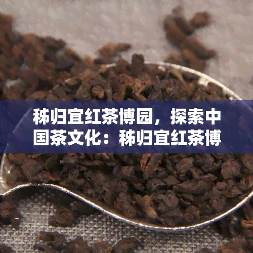 秭归宜红茶博园，探索中国茶文化：秭归宜红茶博园之旅