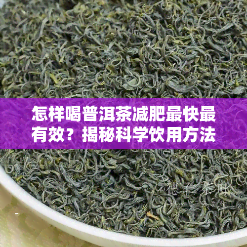 怎样喝普洱茶减肥最快最有效？揭秘科学饮用方法与时