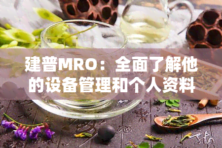 建普MRO：全面了解他的设备管理和个人资料