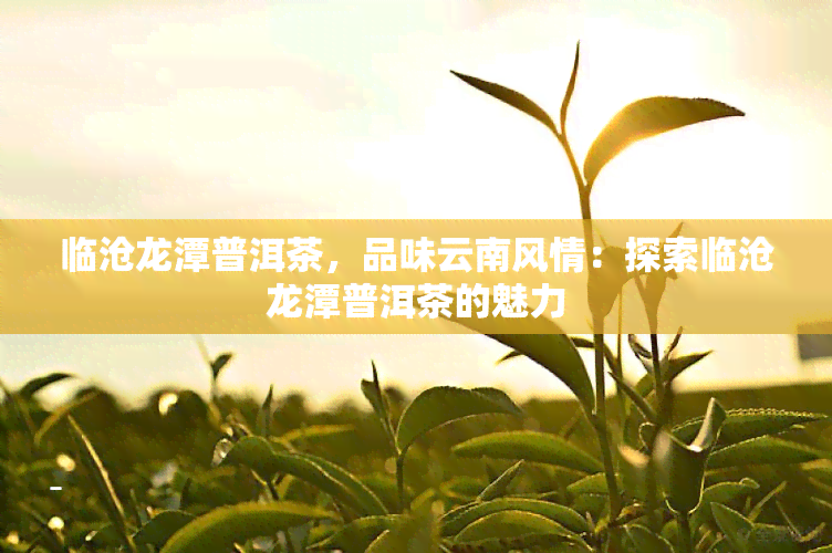 临沧龙潭普洱茶，品味云南风情：探索临沧龙潭普洱茶的魅力