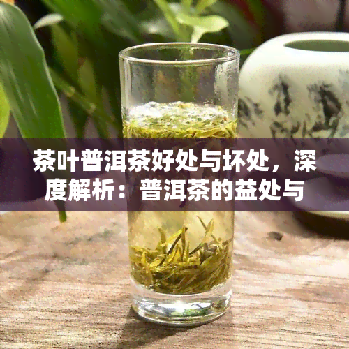 茶叶普洱茶好处与坏处，深度解析：普洱茶的益处与风险