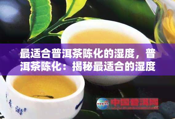 最适合普洱茶陈化的湿度，普洱茶陈化：揭秘最适合的湿度条件