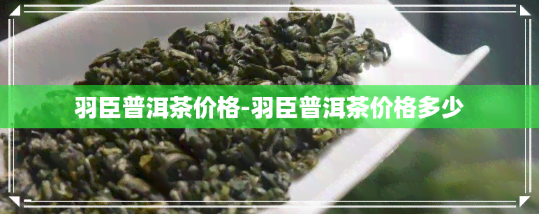 羽臣普洱茶价格-羽臣普洱茶价格多少