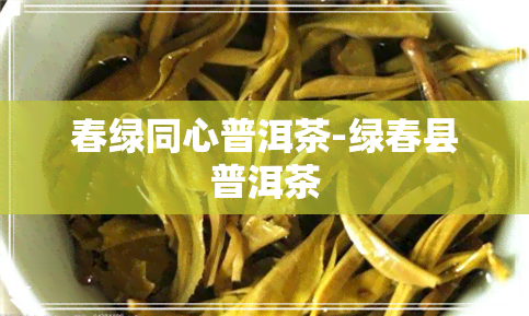 春绿同心普洱茶-绿春县普洱茶