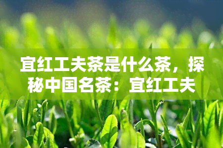 宜红工夫茶是什么茶，探秘中国名茶：宜红工夫茶的由来与特点